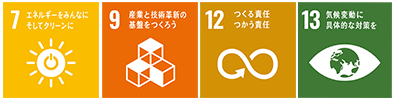 SDGs 9, 17