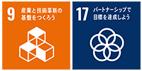 SDGs 9, 17